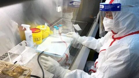 Вирусолог коронавирус пандемиясе тәмамлануының якынча вакытын атады