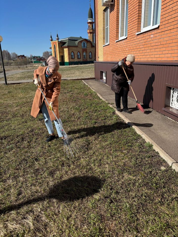 Саба муниципаль районында массакүләм өмәләр башланды.