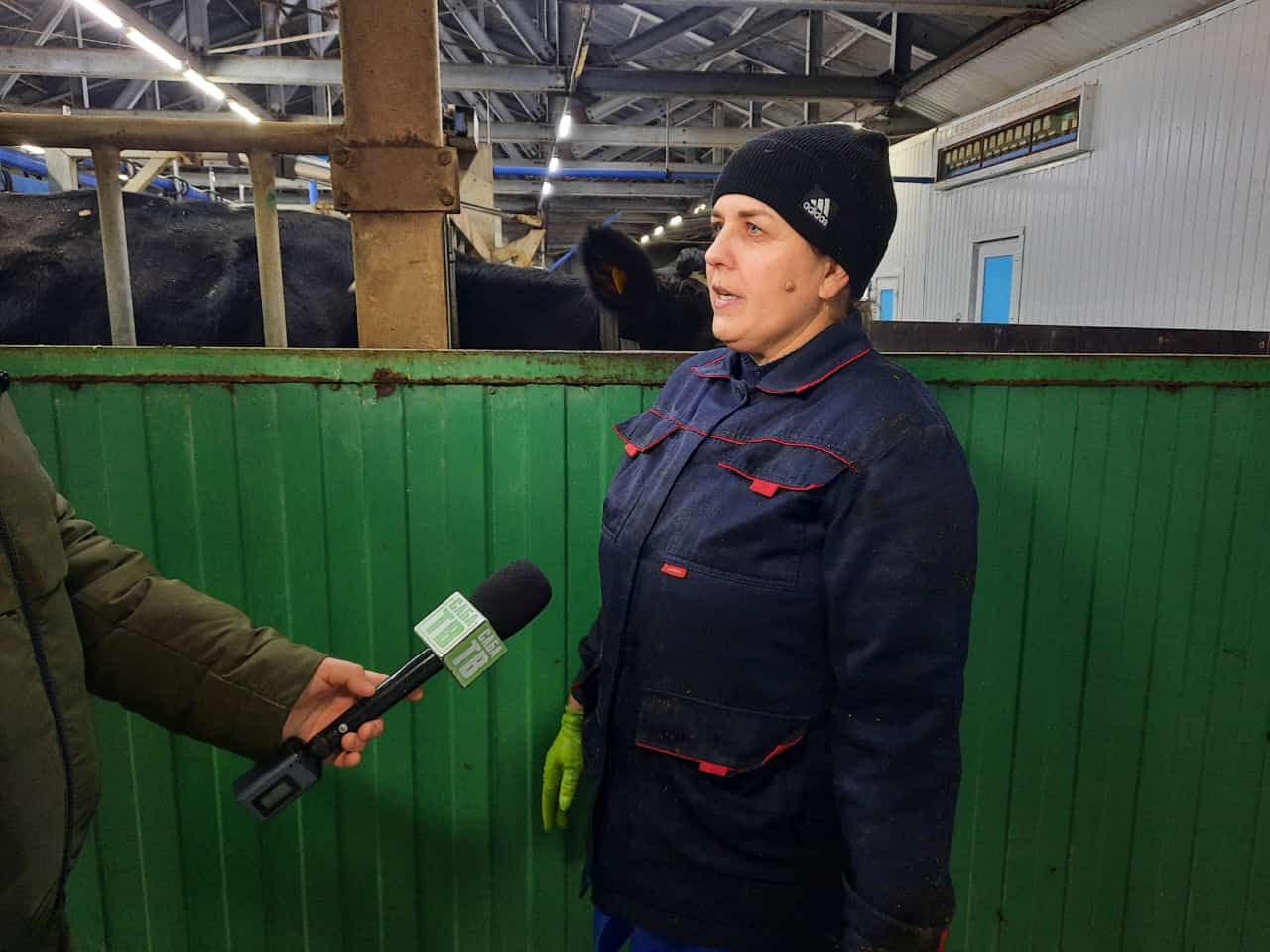 Бүген безнең «Саба дулкыннары» телерадиокомпаниясенең иҗат төркеме «Игенче» хуҗалыгында.