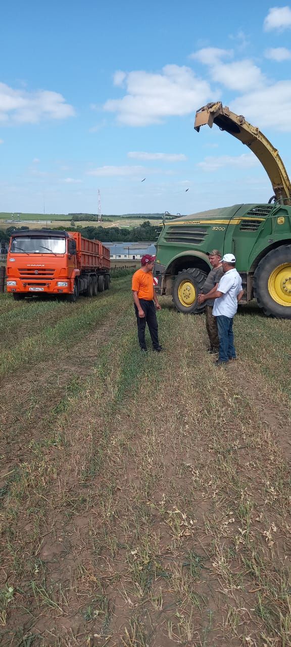 Районыбыз хуҗалыкларында терлек азыгы әзерләү дәвам итә.