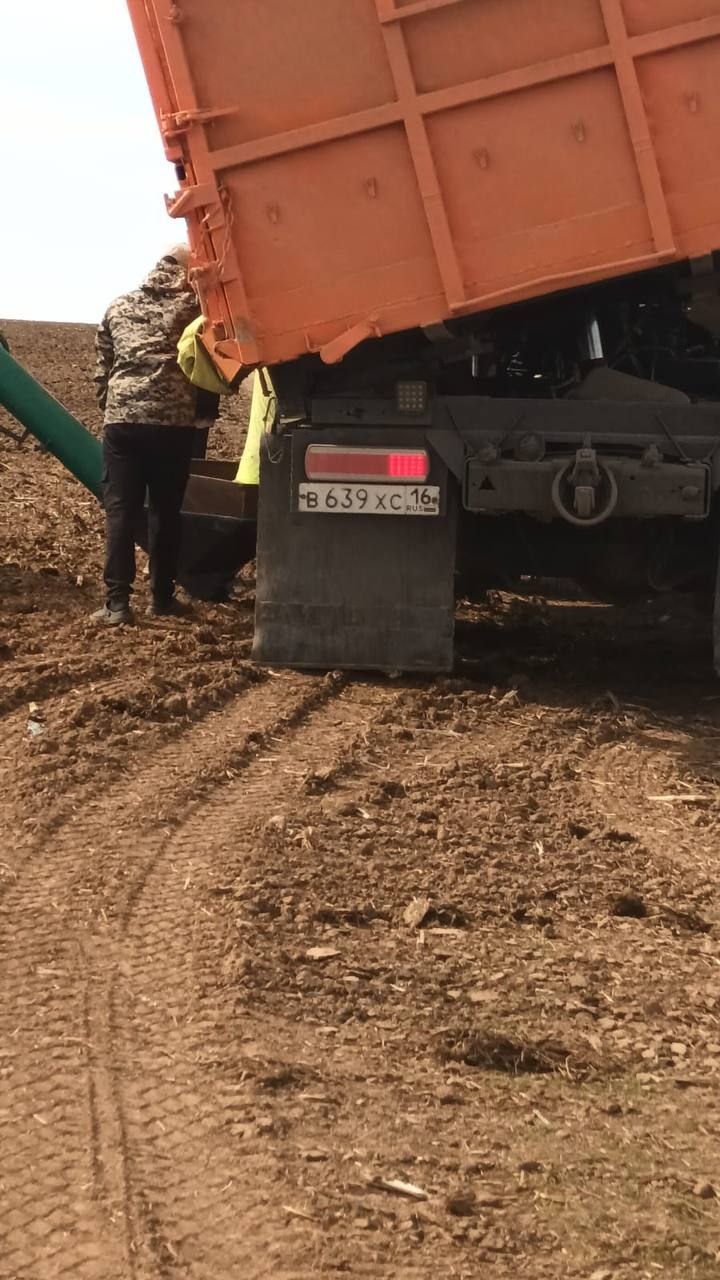 Җаваплылыгы чикләнгән Саба җәмгыятенең Сатыш бүлекчәсе игенчеләре быелгы язгы кыр эшләрендә дә сынатмыйча эшлиләр.