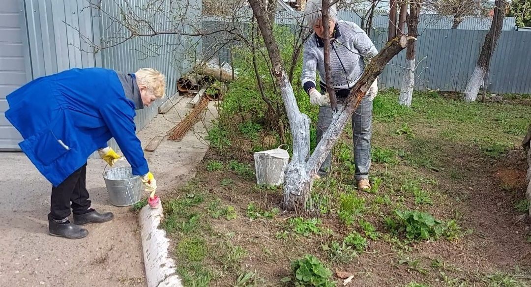 Чисталык айлыгы дәвам итә.