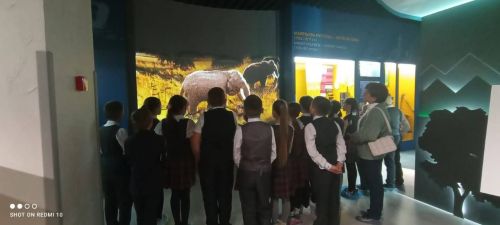 Һәр ел саен18 май көнне Халыкара музейлар көне билгеләп үтелә.