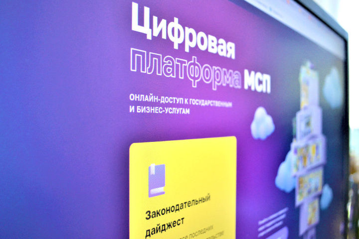 Сервисы Цифровой платформы МСП стали доступны предпринимателям Татарстана