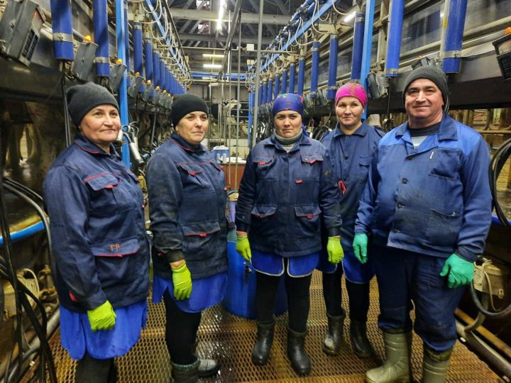 Бүген безнең «Саба дулкыннары» телерадиокомпаниясенең иҗат төркеме «Игенче» хуҗалыгында.