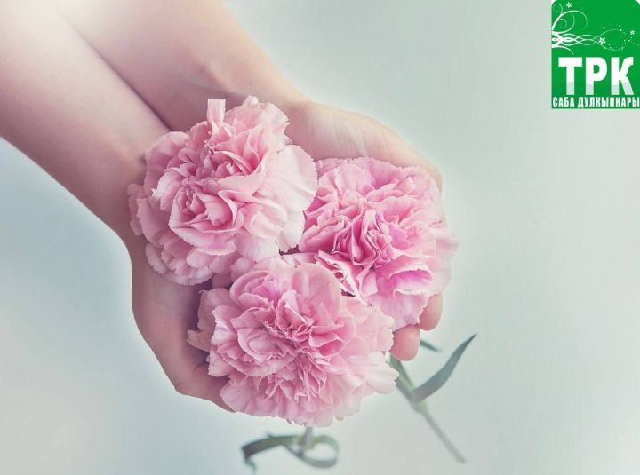 Яхшылык, кызгану, кешелеклелек - бу сүзләр «хәйриячелек» төшенчәсе синонимнары булып тора.